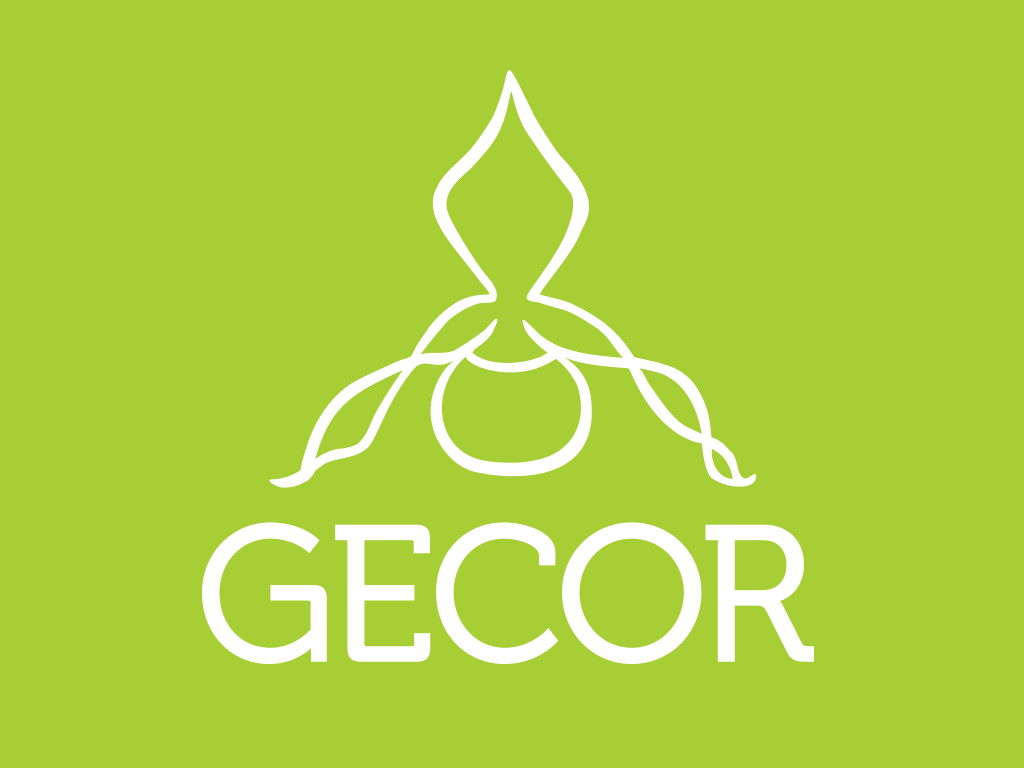 Asociación GECOR. Grupo de Estudio y conservación de Orquídeas Silvestres.