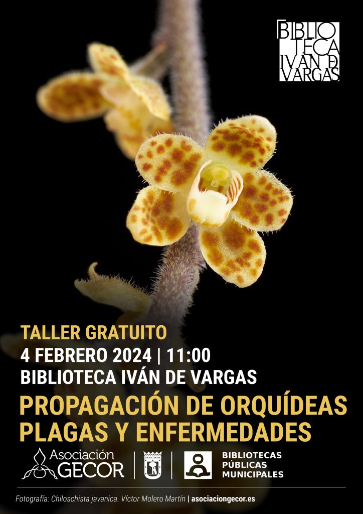 Taller de reproducción de orquídeas. Plagas y enfermedades.